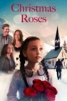 Рождественские розы